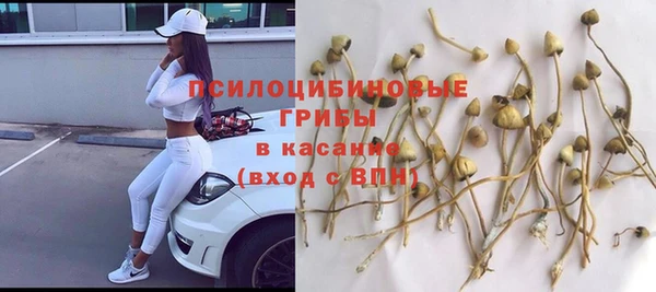 крисы Лиски