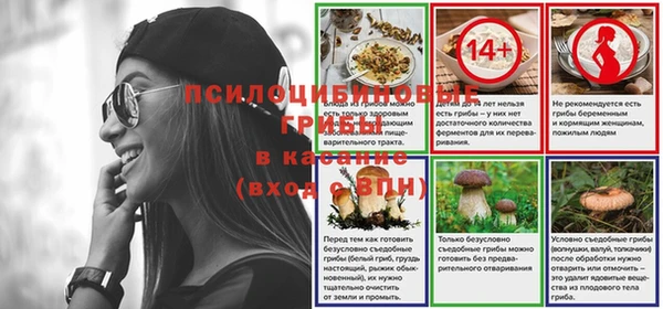 apvp Ладушкин