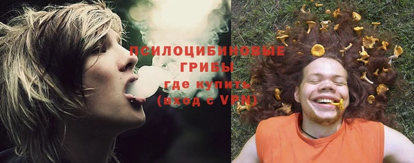 а пвп мука Липки