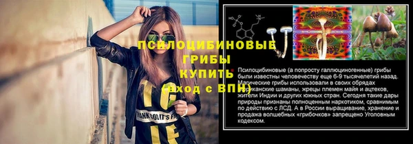 а пвп мука Липки
