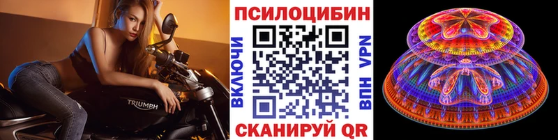 Купить где  Киренск  Галлюциногенные грибы Magic Shrooms 